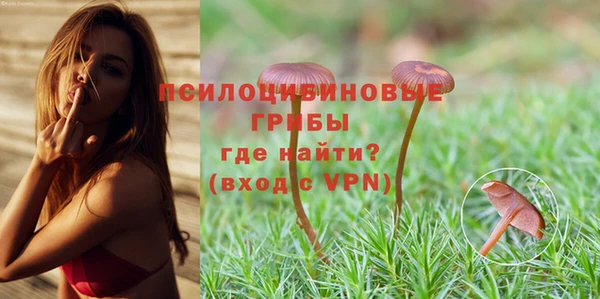 спайс Бородино