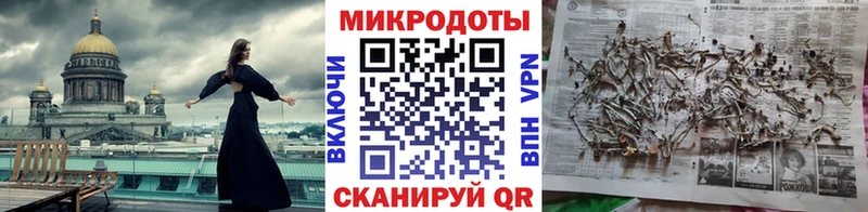 Галлюциногенные грибы Psilocybe  Купить  Челябинск 